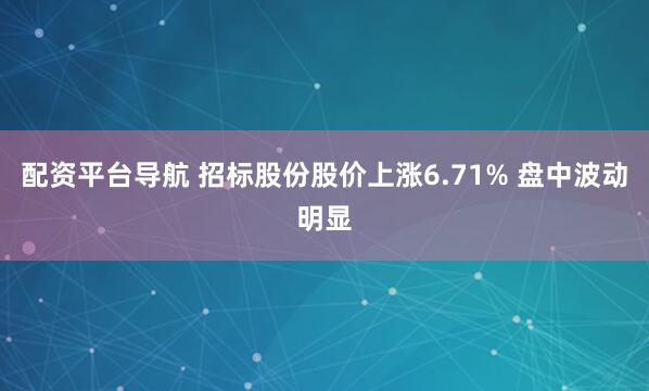 配资平台导航 招标股份股价上涨6.71% 盘中波动明显